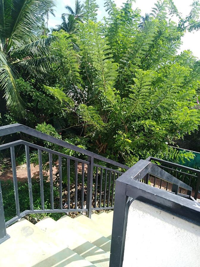 Dolphin Cottage Mirissa Ngoại thất bức ảnh